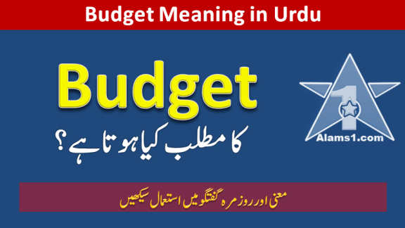 Budget Meaning in Urdu